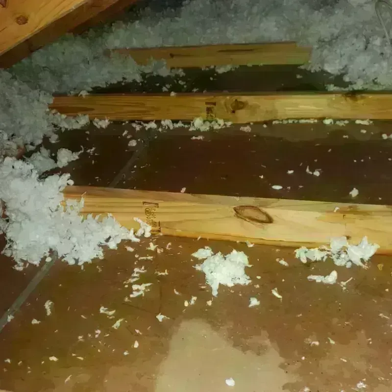 Attic Water Damage in Icard, NC