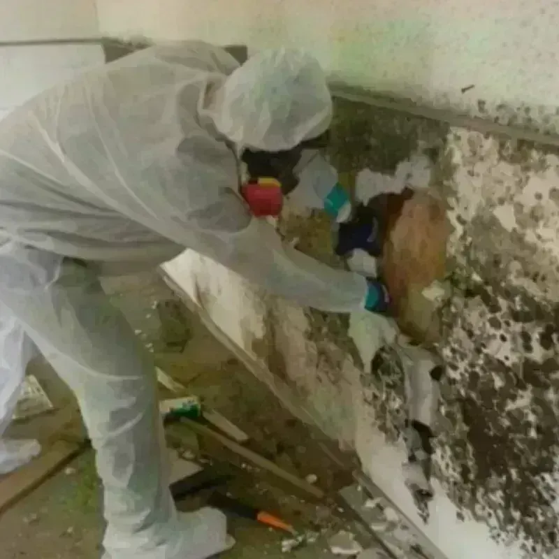 Mold Remediation and Removal in Icard, NC