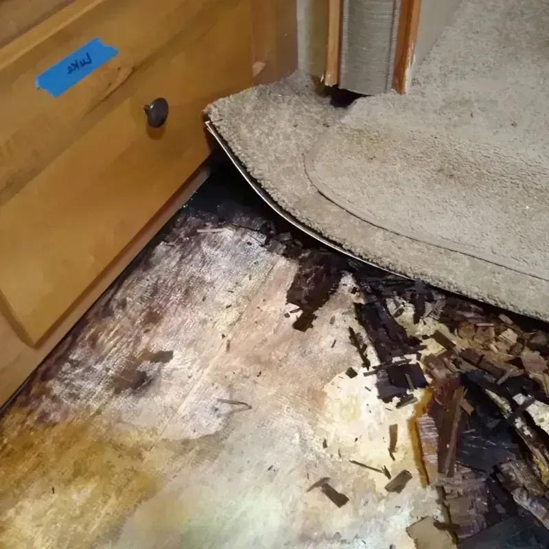 Best Wood Floor Water Damage Service in Icard, NC